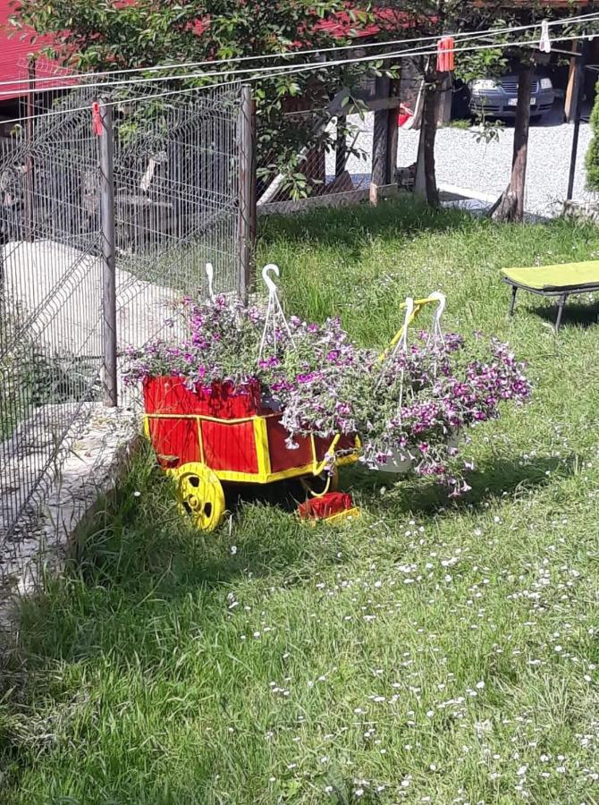 Pensiunea Io-Mara Vatra Dornei Buitenkant foto