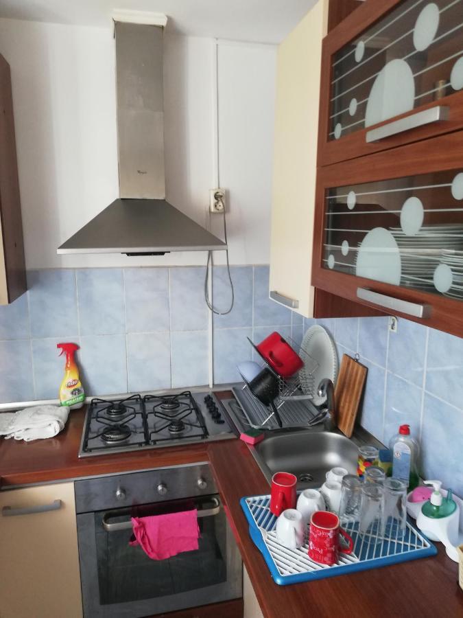 Pensiunea Io-Mara Vatra Dornei Buitenkant foto