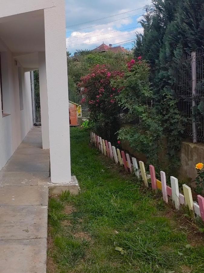 Pensiunea Io-Mara Vatra Dornei Buitenkant foto